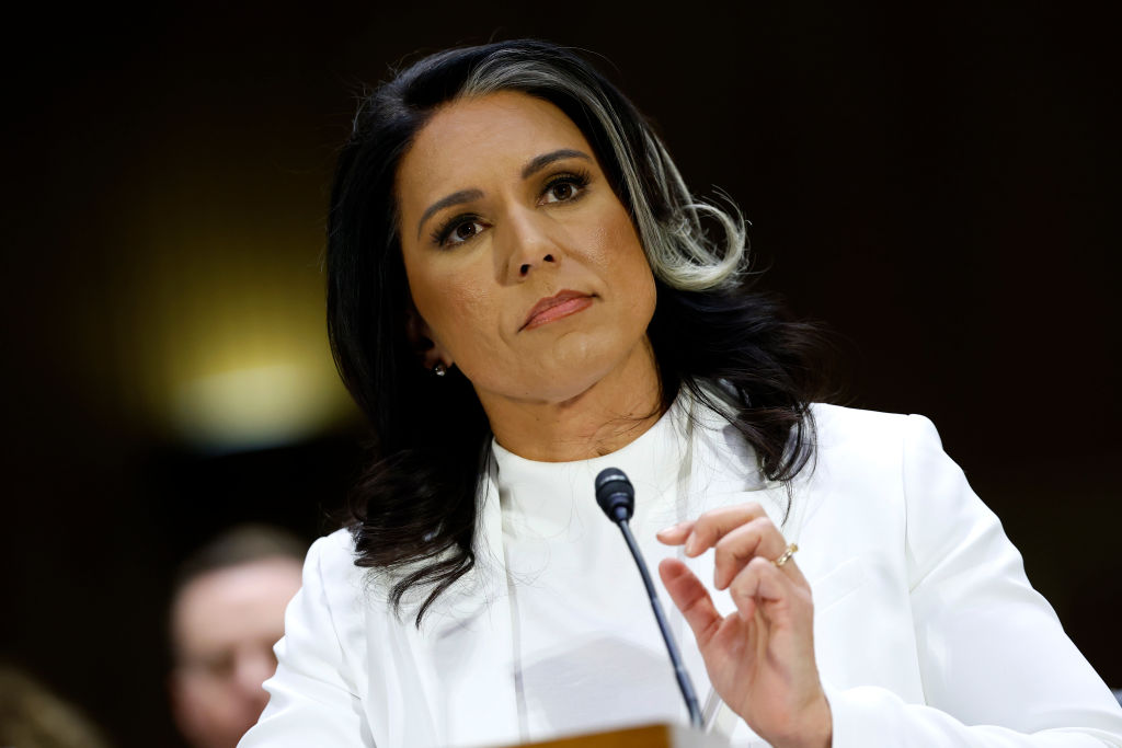 A top Trump administration intelligence official has resigned over the United States’ campaign against Iran, arguing it was unjustified.