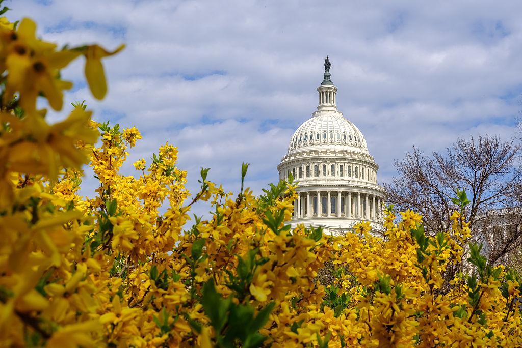 Welcome back to Capitol Hill, everyone. The Senate returns this evening, the House comes back Tuesday night.