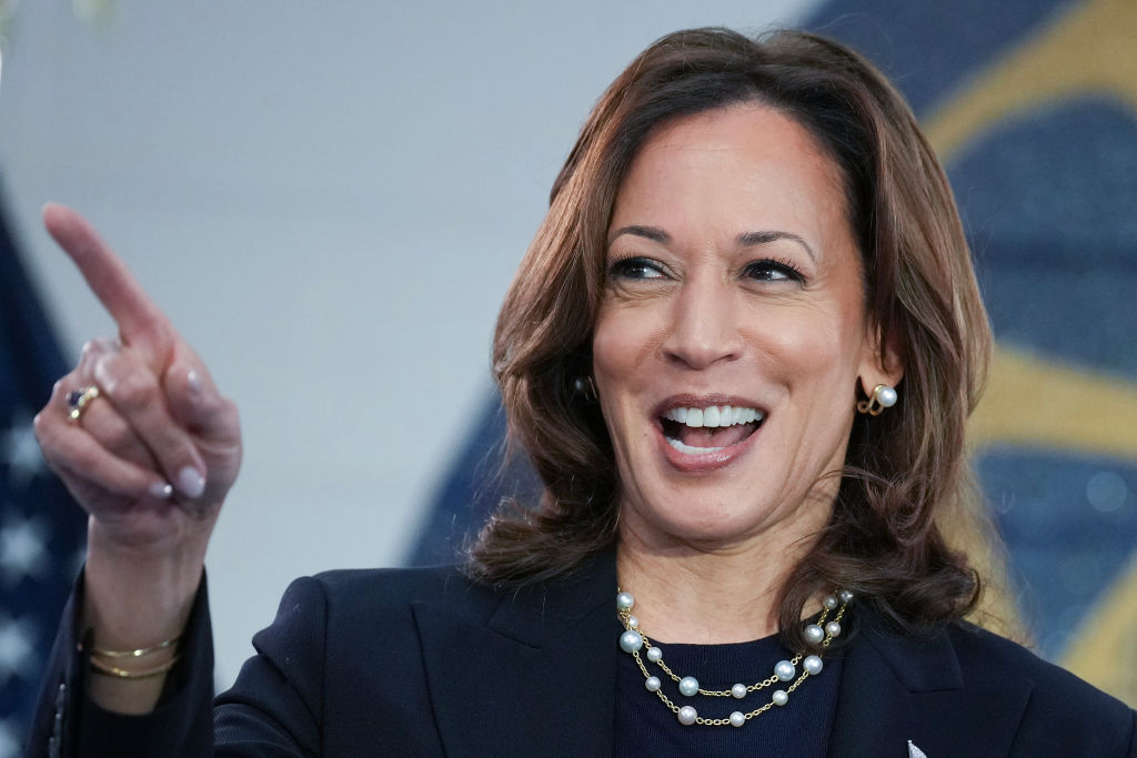 California Democrats happy with Kamala Harris on top of the ticket