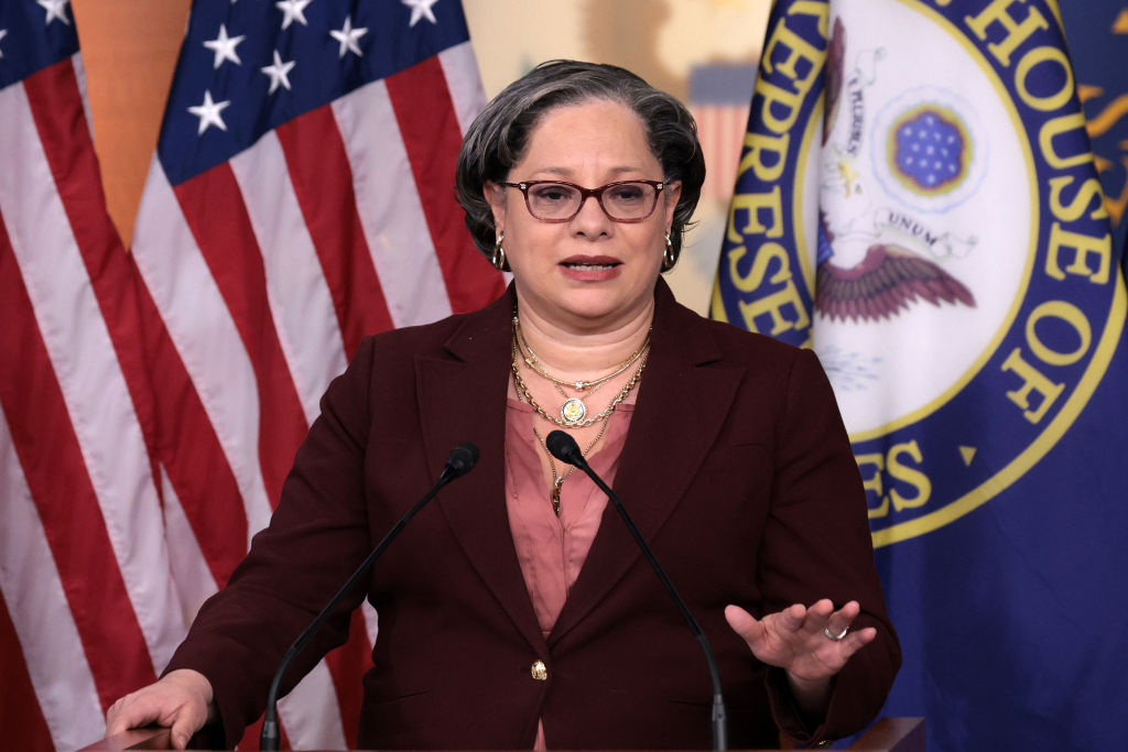 Several House Democrats bashed the idea of a one-year extension of enhanced Obamacare subsidies during a press call this morning, arguing that Congress must go bigger.