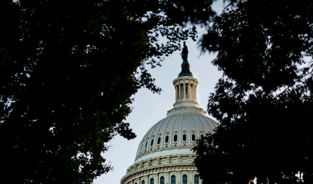 Bipartisan House group readies proxy voting resolution