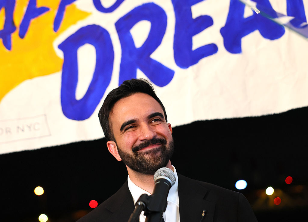 Democrats in New York are facing a tough battle as Assemblyman Zohran Mamdani’s controversial views threaten their 2026 chances.