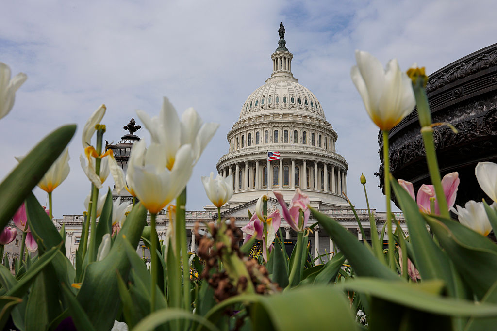 40 Senate Dems voted to block a U.S. weapons sale to Israel, the latest sign of the party’s growing rift with the country's military campaigns.