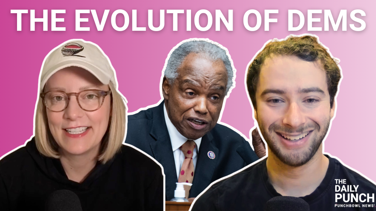 Democrats face a growing generational rift as younger challengers line up to take on veteran incumbents in a series of high-stakes primaries.